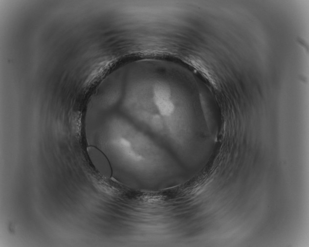 X0000091460495200708231319