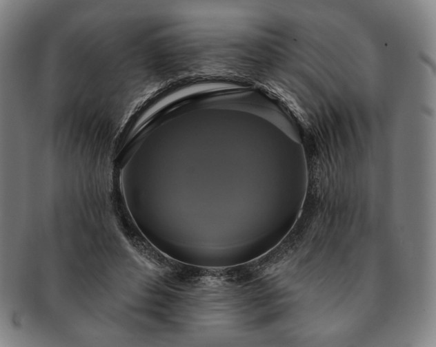 X0000091460496200708231319
