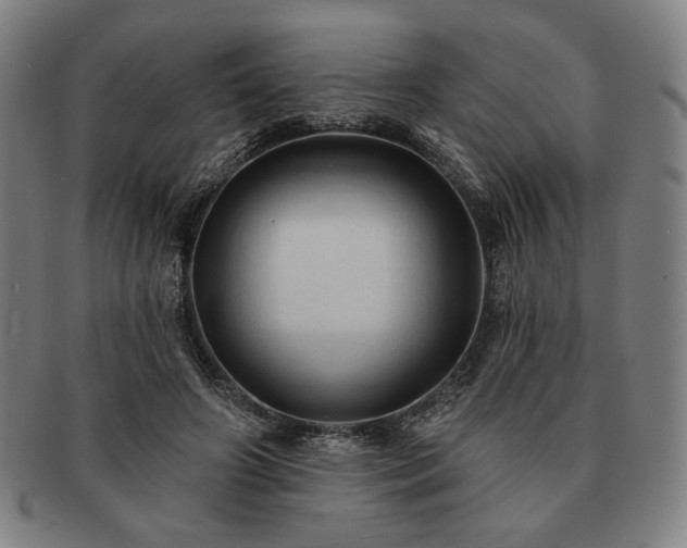 X0000091460498200708231319