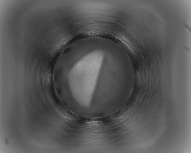 X0000091460499200708231319