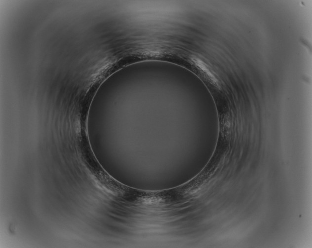 X0000091460500200708231319