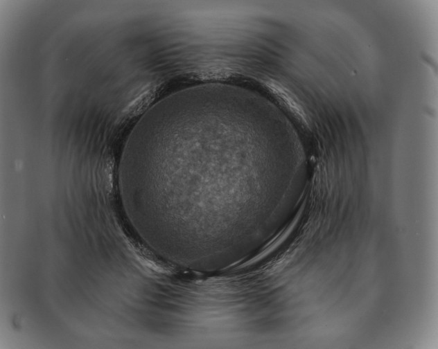 X0000091460501200708231319
