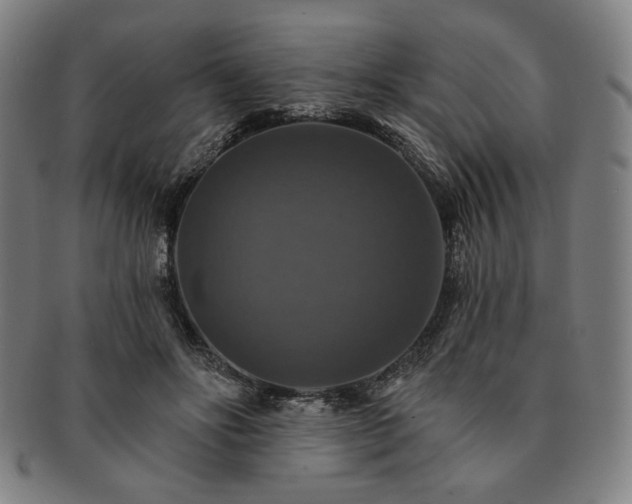 X0000091460502200708231319