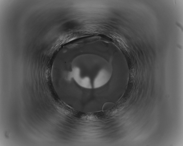 X0000091460503200708231319