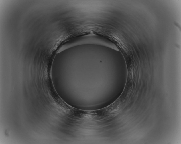X0000091460504200708231319