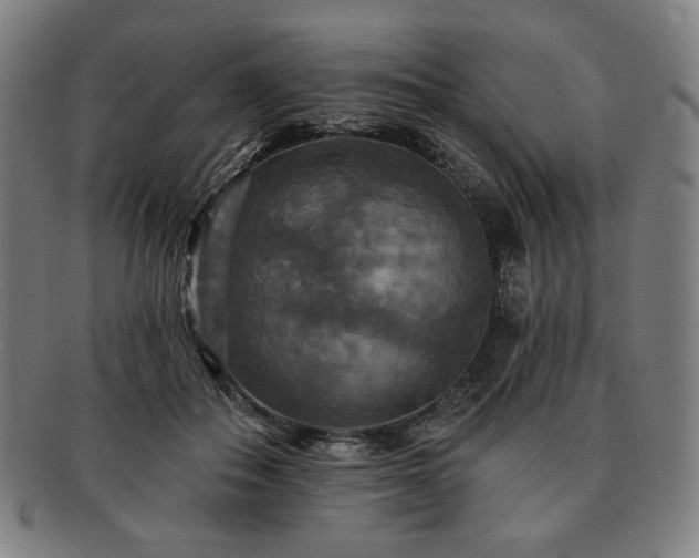 X0000091460506200708231319
