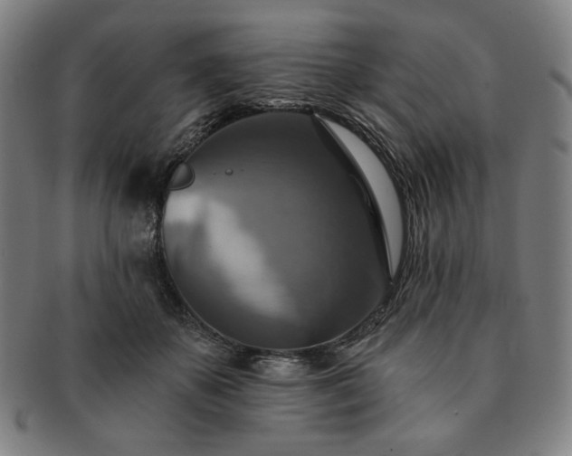X0000091460507200708231319
