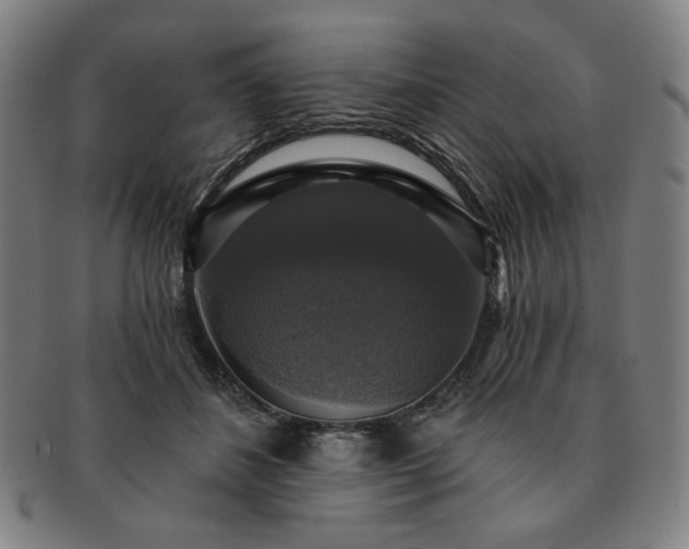 X0000091460508200708231319