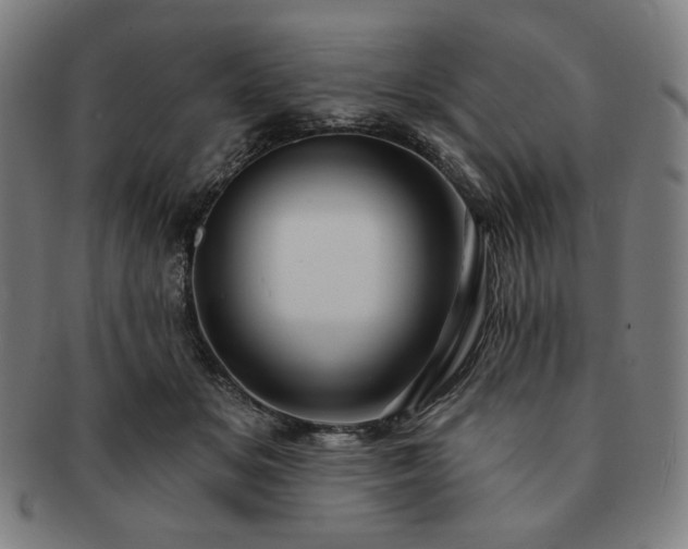 X0000091460509200708231319