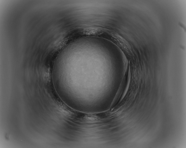 X0000091460510200708231319