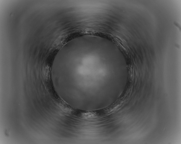 X0000091460511200708231319