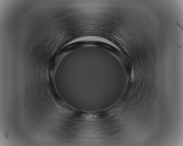 X0000091460512200708231319