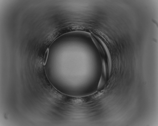 X0000091460513200708231319