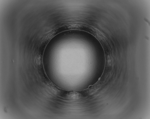 X0000091460514200708231319