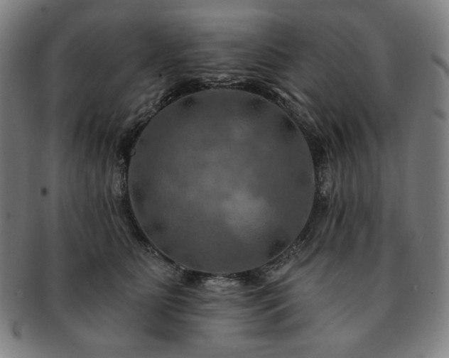 X0000091460515200708231319