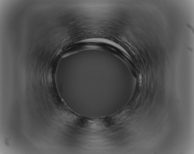 X0000091460516200708231319