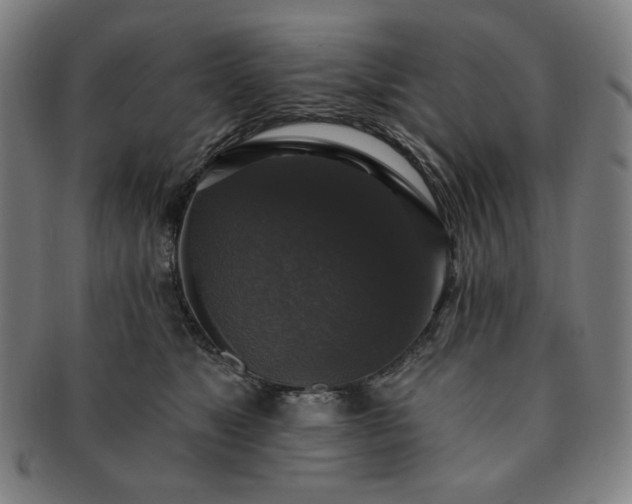 X0000091460517200708231319