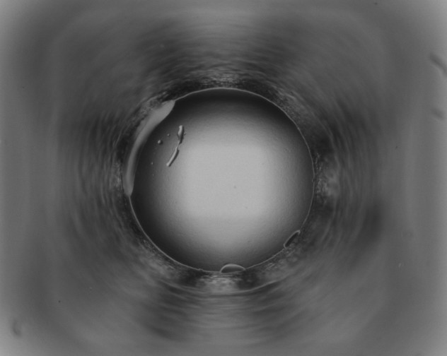 X0000091460518200708231319