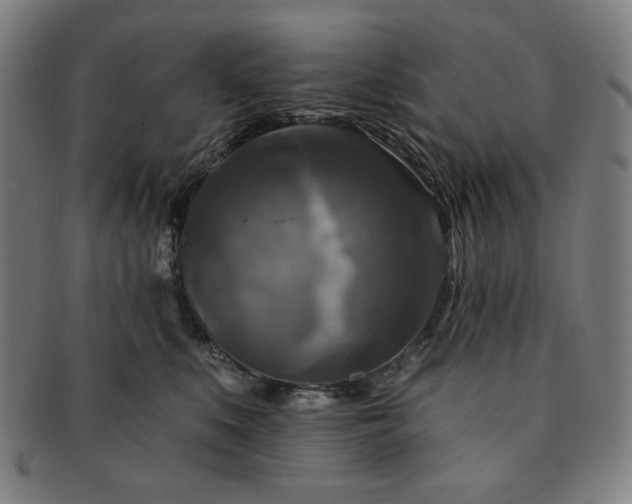 X0000091460519200708231319