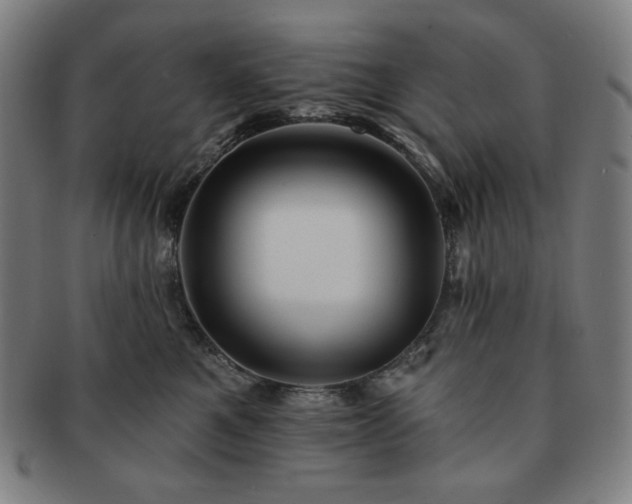 X0000091460521200708231319
