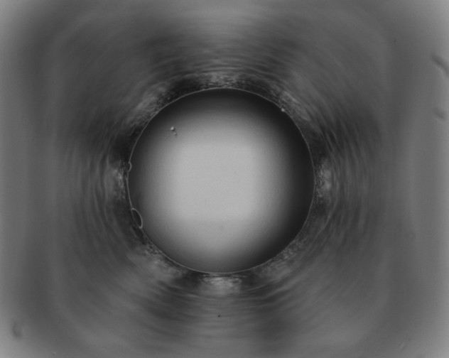 X0000091460522200708231319
