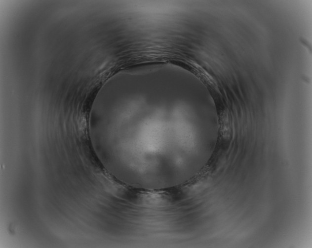 X0000091460523200708231319