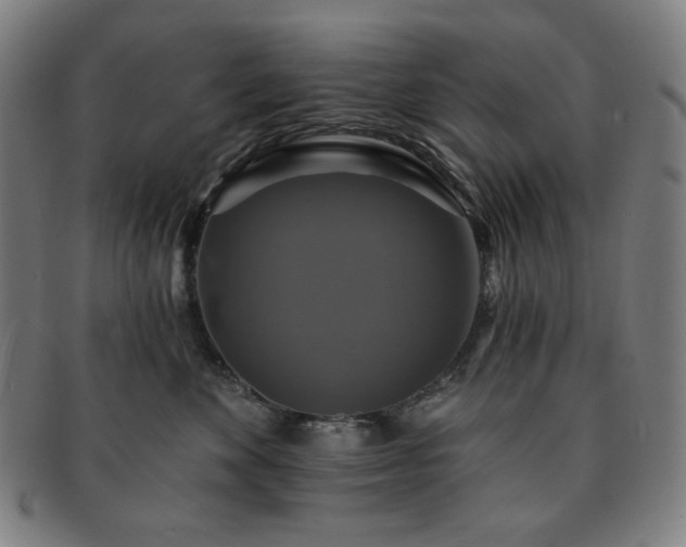 X0000091460524200708231319