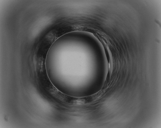 X0000091460525200708231319