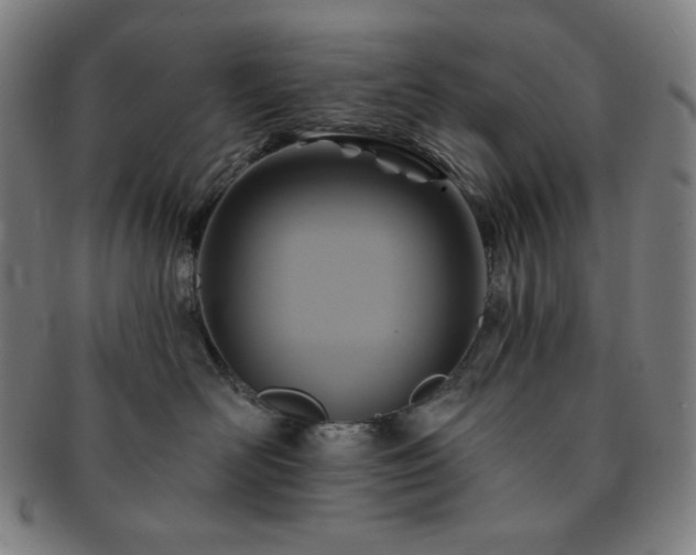 X0000091460526200708231319