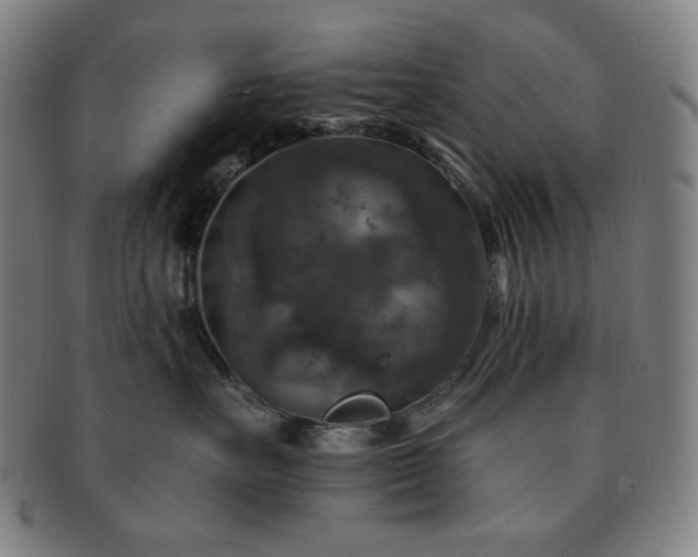 X0000091460527200708231319