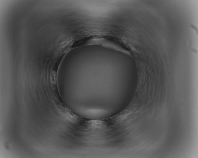 X0000091460528200708231319