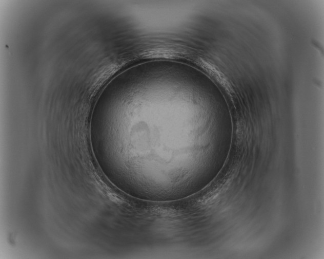 X0000091460529200708231318