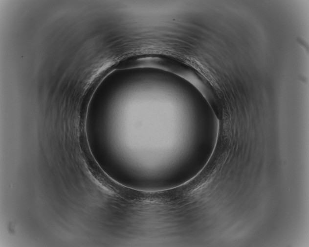 X0000091460530200708231318