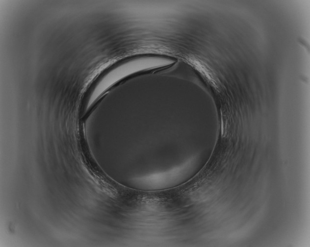 X0000091460531200708231318