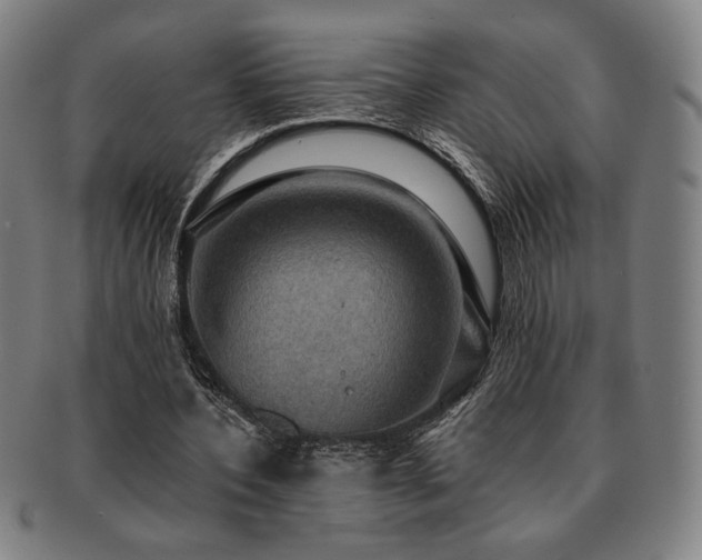 X0000091460532200708231318