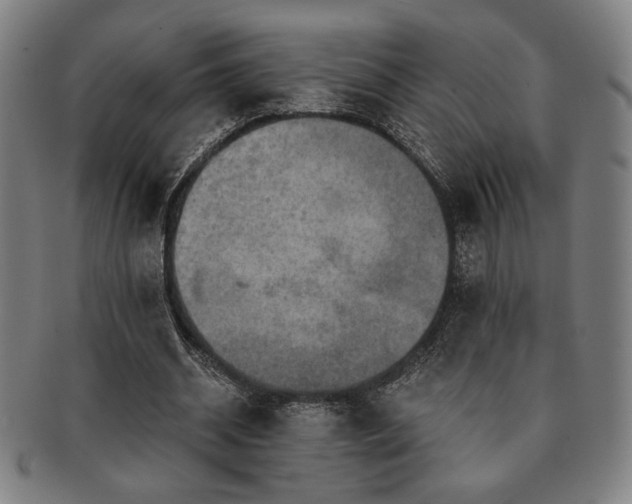 X0000091460534200708231318