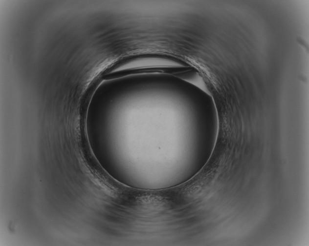 X0000091460535200708231318