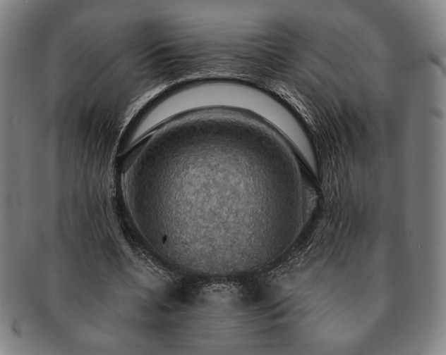 X0000091460536200708231318