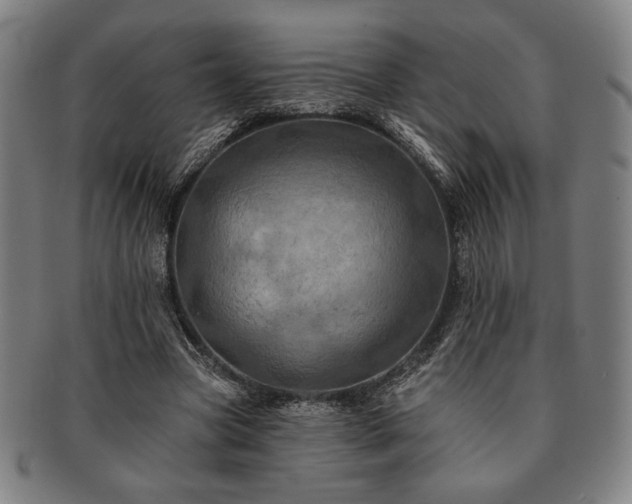 X0000091460537200708231318