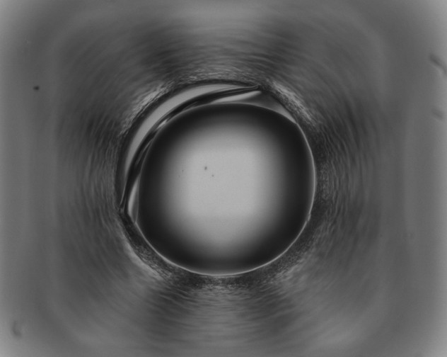 X0000091460538200708231318