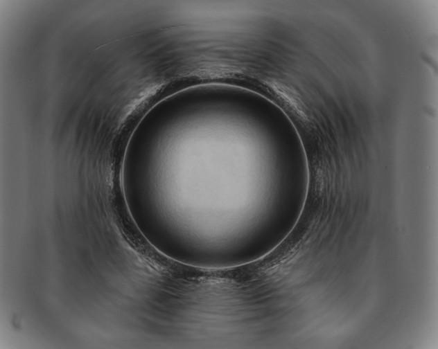X0000091460539200708231318