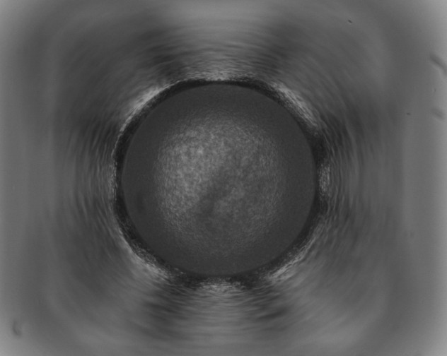 X0000091460540200708231318