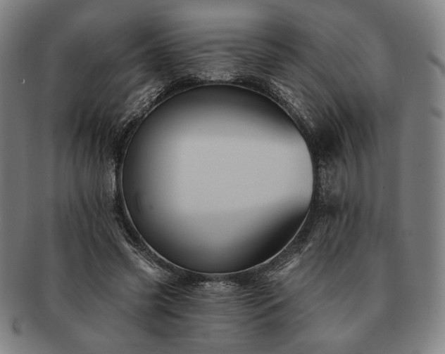 X0000091460541200708231319
