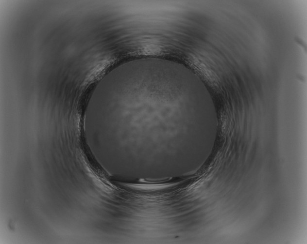 X0000091460542200708231319