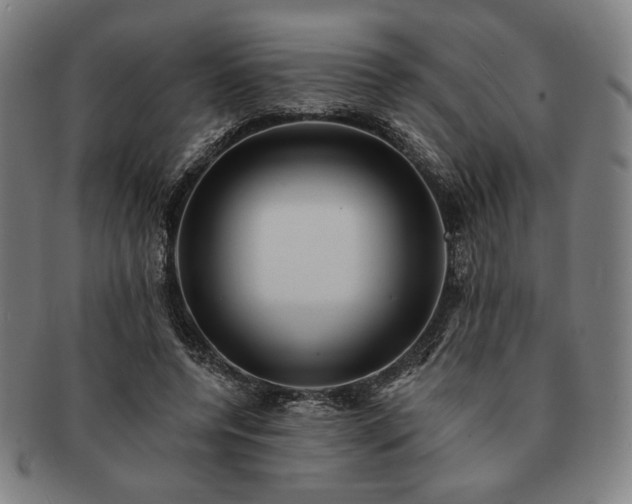 X0000091460544200708231319