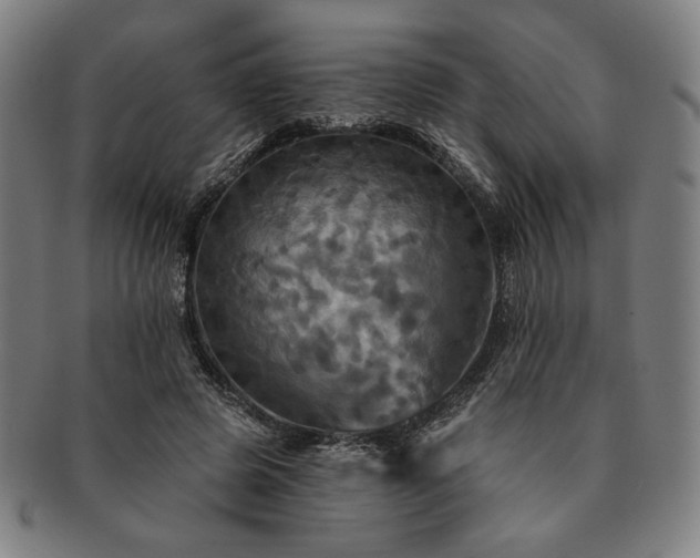 X0000091460545200708231319