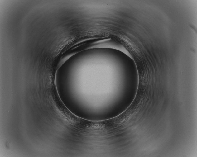 X0000091460546200708231319