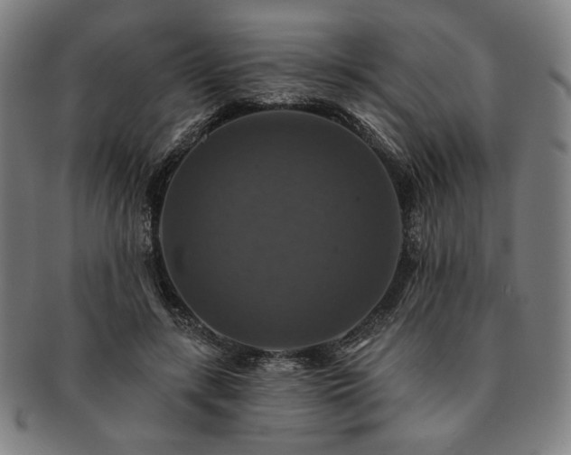 X0000091460547200708231319