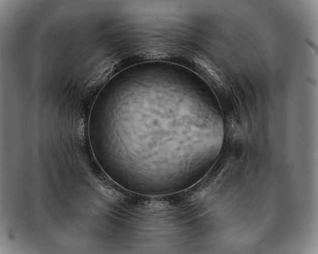 X0000091460549200708231319