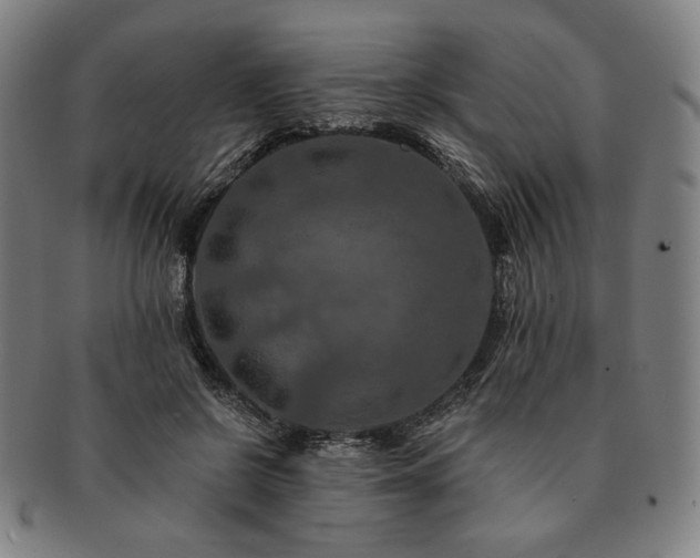 X0000091460550200708231319